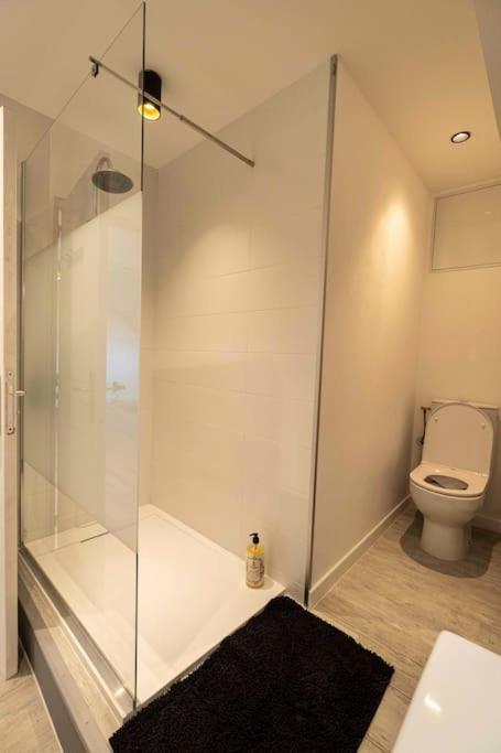 Cocon Sous Les Toits Apartamento Albertville Exterior foto
