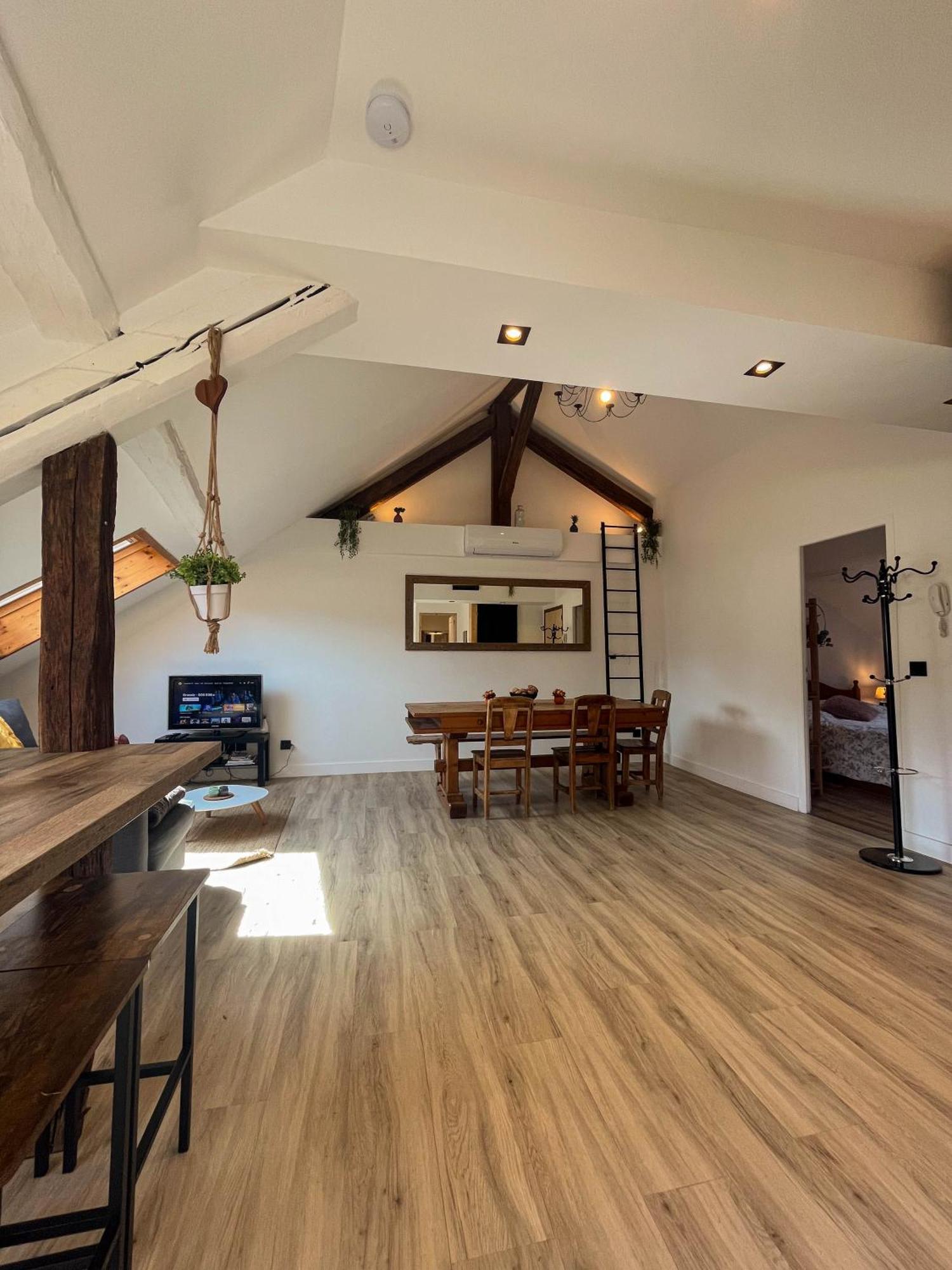 Cocon Sous Les Toits Apartamento Albertville Exterior foto