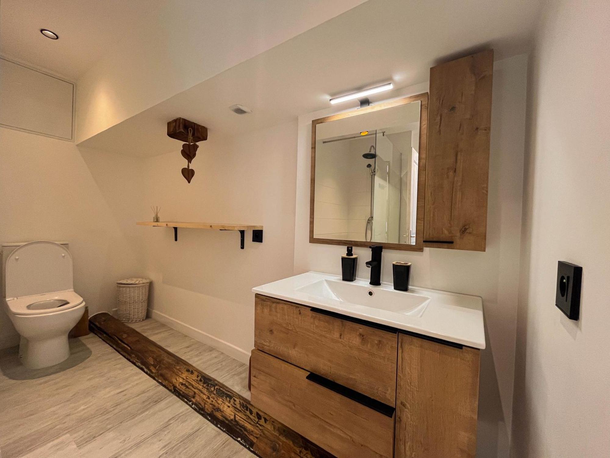 Cocon Sous Les Toits Apartamento Albertville Exterior foto